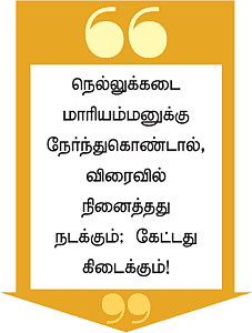 நித்தமும் துணைக்கு வருவாள் நெல்லுக்கடை மாரியம்மன்!