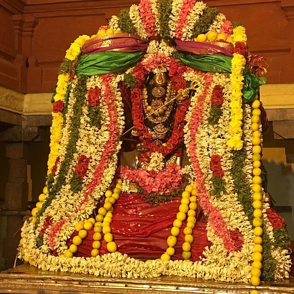 கோலாகலமாக நடைபெற்ற சுவேதாரண்யேசுவரர் - பிரம்மவித்யாம்பிகை திருக்கல்யாண வைபவம்