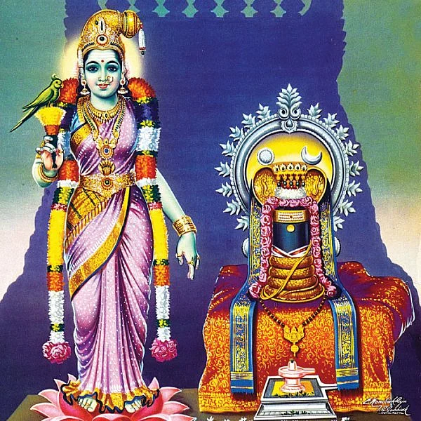 திருவருள் செல்வர்கள்! - 8