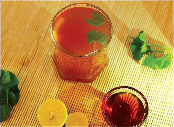 மருந்தாகும் உணவு - தூதுவளை ரசம்