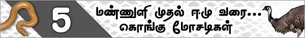 மண்ணுளி முதல் ஈமு வரை! (மிரள வைக்கும் கொங்கு மோசடிகள் - 11)