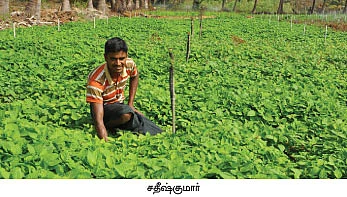 ஒரு ஏக்கர்... மாதம் 50 ஆயிரம்...