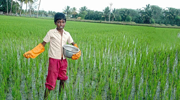 ஒரு நாள் விவசாயி!