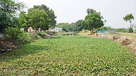 தண்ணீர்... தண்ணீர்...