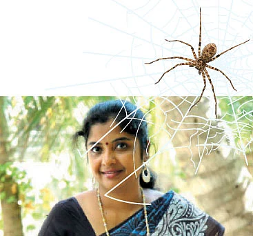 சிலந்திப் பெண் !