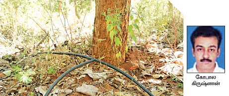 நீங்கள் கேட்டவை