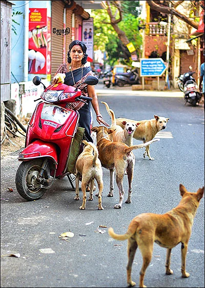 தெய்வத்தான் ஆகாதெனினும் - “சாப்பாட்டுக்காக காக்க வைக்காதீங்க!”