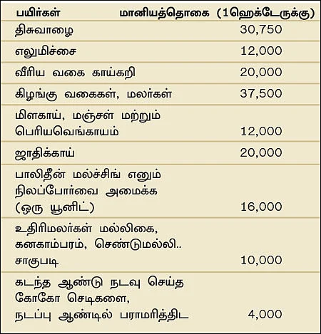 நீங்கள் கேட்டவை : ‘தோட்டக்கலைப் பயிர்களுக்கு எவ்வளவு மானியம்?”