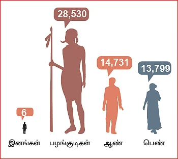அந்தமான் அம்பு சொல்வது என்ன?