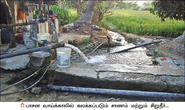 ‘பசுமை’ காட்டிய பாதை! - சத்தீஸ்கரில் மலரும் இயற்கை விவசாயம்!