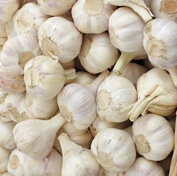 அஞ்சறைப்பெட்டி அருமருந்து