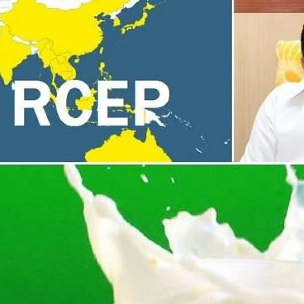 பால் கலப்படம்: என்ன சொல்கிறார்கள் வல்லுனர்கள்?