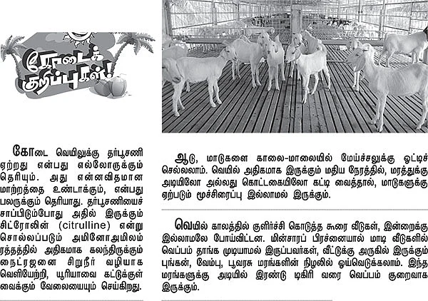 கோடைக் குறிப்புகள் !