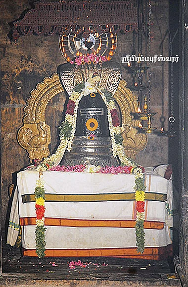 சிவமே என் சிவமே!