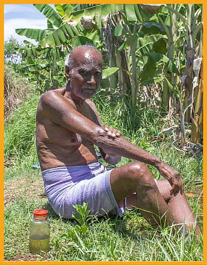 கோடை காலப் பராமரிப்பு