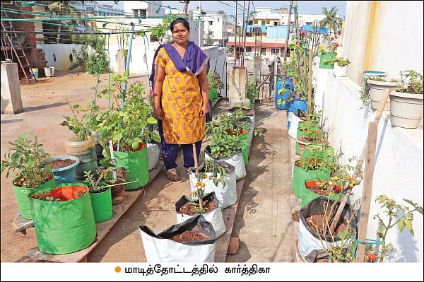 மன அழுத்தத்தைக் குறைக்கும் மாடித்தோட்டம்!