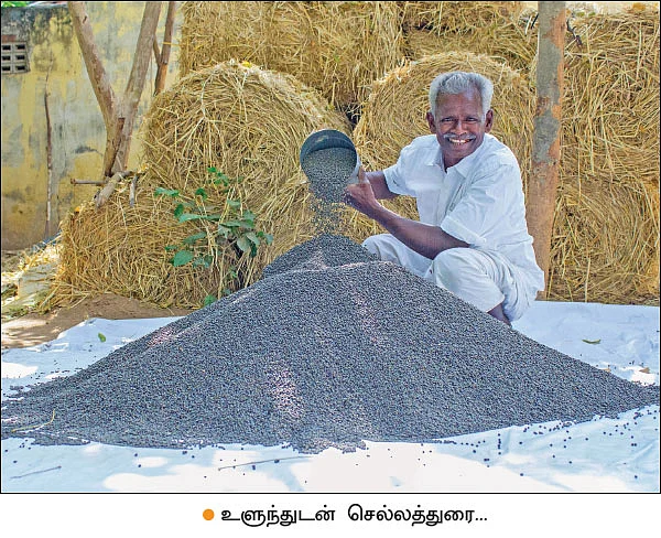 உன்னதமான வருமானம் கொடுக்கும் உளுந்து!