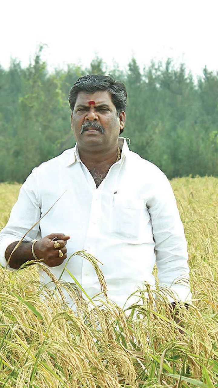 ஆத்தூர் கிச்சிலிச் சம்பாவில் அசத்தல் லாபம்!