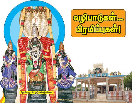 வழிபாடுகள்... பிரமிப்புகள்!