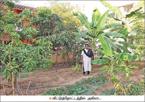 தினமும் ஒரு காய்... ஒரு கீரை!