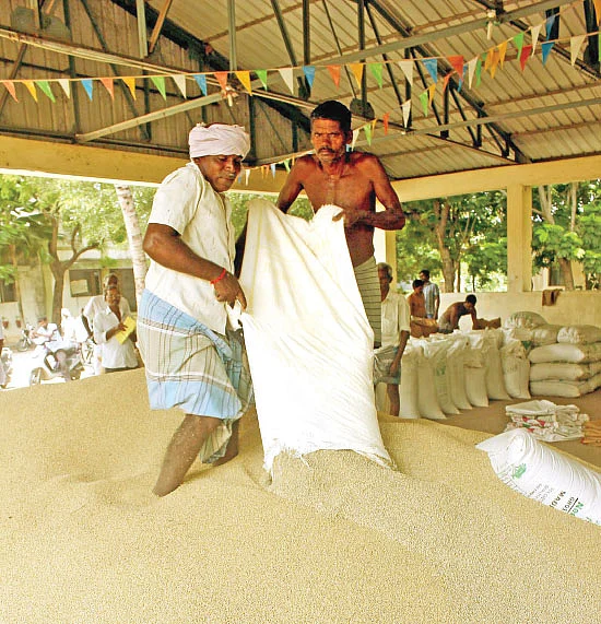 நாட்டுக்கம்புக்கு நல்ல விலை... குவிண்டால் 4,500 ரூபாய்!