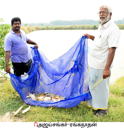 5 ஏக்கர்... ஆண்டுக்கு ரூ.6 லட்சம் லாபம்... நிறைவான வருமானம் தரும் மீன் வளர்ப்பு!