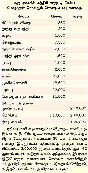 ஏக்கருக்கு 30 டன்... களிமண்ணிலும் களை கட்டும் கத்திரி !