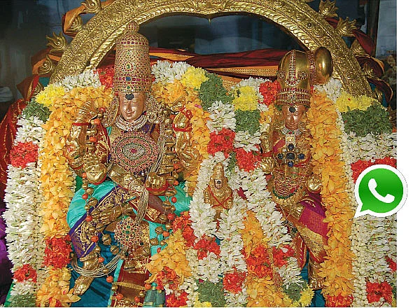 வலைத்’தலம்’!