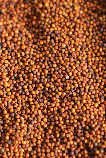 அவ்வளவும் சத்து - தானியங்கள் பருப்புகள் பலன்கள்!