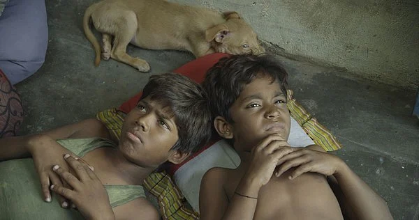 காக்காமுட்டை படம் எப்படி?
