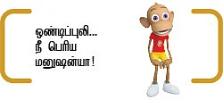 புலி சகோதரர்கள்