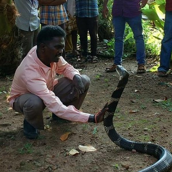 தீவிர சிகிச்சைக்குப்பின் மீண்ட வாவா சுரேஷ்; தற்போது எப்படி இருக்கிறார்?
