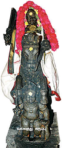 குறை தீர்த்து குலம் காக்கும் கொப்புடை நாயகி!