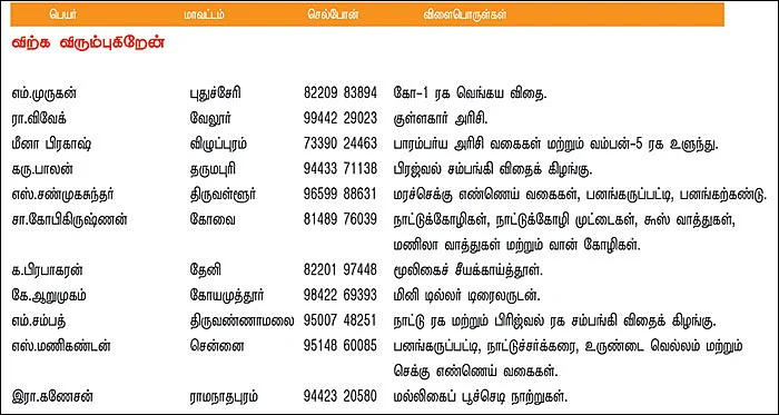 பசுமை சந்தை