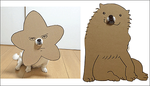 DOG டக்கர் - BAG BAG புக் பேக்
