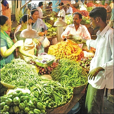 விளையும் விலையும்! - சந்தைக்கு வழிகாட்டும் தொடர்