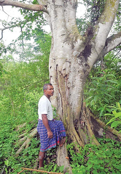 நம்பர் 1 ஜாதவ் பேயங்