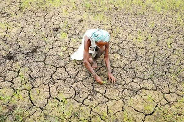 உரம் வாங்கத் திண்டாடுகிறான் இந்திய விவசாயி... உல்லாச காலண்டர் எடுக்கிறார் மல்லையா? #WhereisVijayMallya? #WhyLetMallyaFlee?