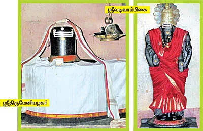 ஆரோக்கியம் அருளும் ஆலய விருட்சங்கள்!