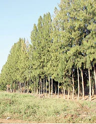 நீங்கள் கேட்டவை : சீஸ் தயாரிப்பு... லாபம் கொடுக்குமா ?