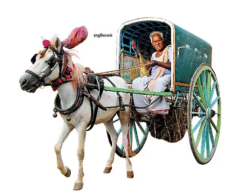 கொள்ளு உண்டு... புல்லு உண்டு... ஒடு ராஜா!