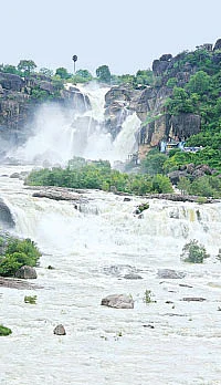 தமிழ் முனிவர் அருளிய தனிப்பெருங்கொடை...