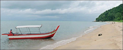 பசுமை கொஞ்சும் பாக்குமரத் தீவு!