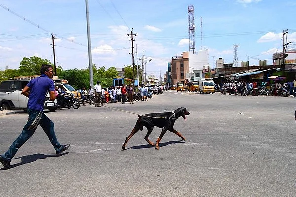 சாத்தூரில் இளைஞர் கொலையில் 9 பேர் சிக்கினர்