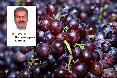புற்றுநோய் செல்களை எதிர்க்கும் திராட்சை!
