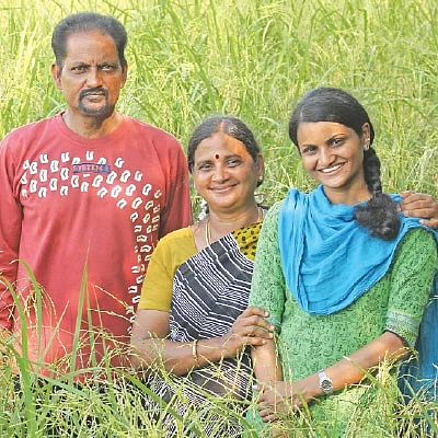 பாடில்லா மகசூல் கொடுக்கும் பாரம்பர்ய ரகம்!