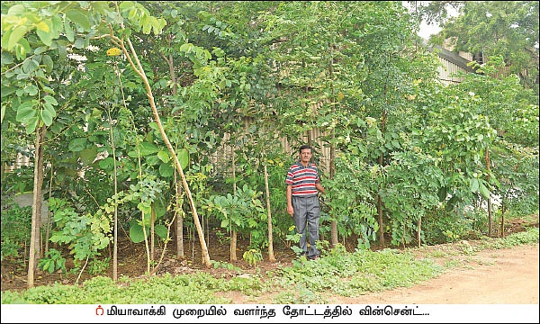 மியாவாக்கி... மரம் வளர்ப்பின் அடுத்தகட்டம்! - குறைந்த இடத்தில் அதிக மரங்கள்!