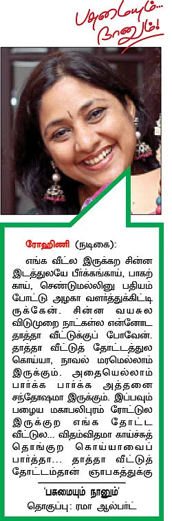 40 செண்ட் சுரைக்காய்... 40 செண்ட் பாகற்காய்...