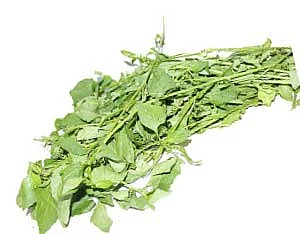 சத்துக்கு சத்து... சுவைக்கு சுவை!