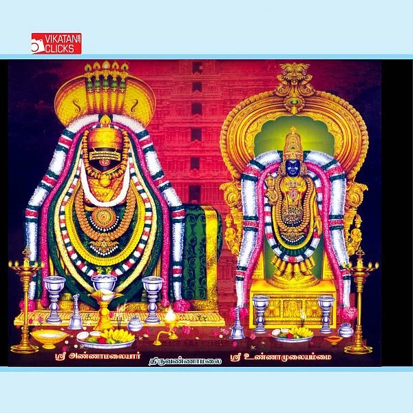 திருவண்ணாமலை... திருக்கார்த்திகை மகா தீப திருவிழா
